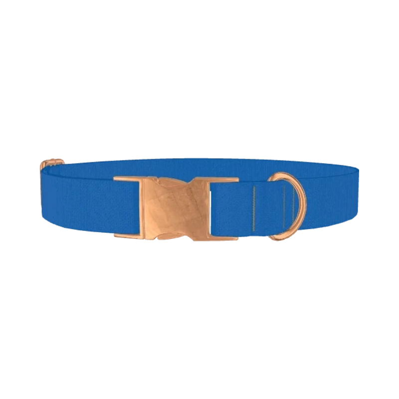 Beautiful Blue Color Dog Collar - metal rose gold