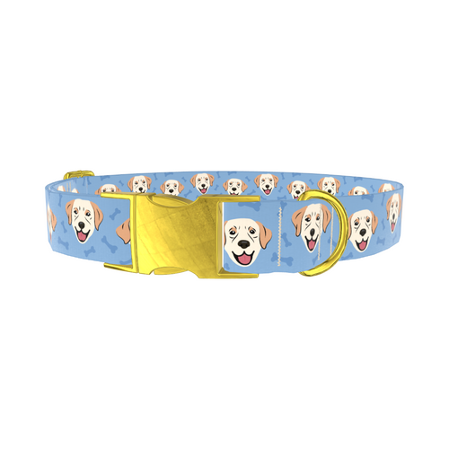 LABRADOR_BLUE