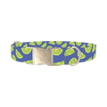 Lime Fruit Dog Collar - metal silver