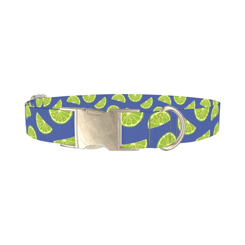 Lime Fruit Dog Collar - metal silver