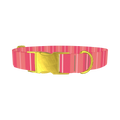 Pink Stripes Dog Collar - metal gold