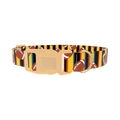 Striped Football Dog Collar - plastic gold