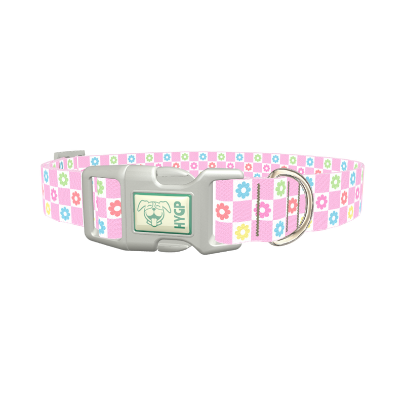 Floral Check Dog Collar - plastic silver