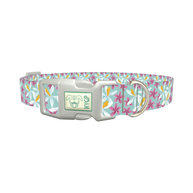Tropical Orchid Dog Collar - plastic silver