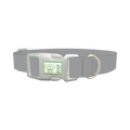 Gris Color Dog Collar - plastic silver