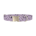 Halloween Witchy Mirror Dog Collar - metal silver