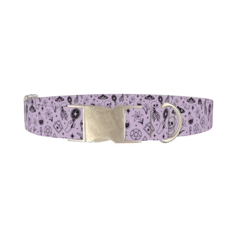 Halloween Witchy Mirror Dog Collar - metal silver
