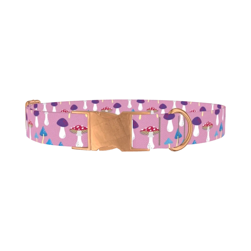 Multicolor Mushroom Dog Collar - metal rose gold