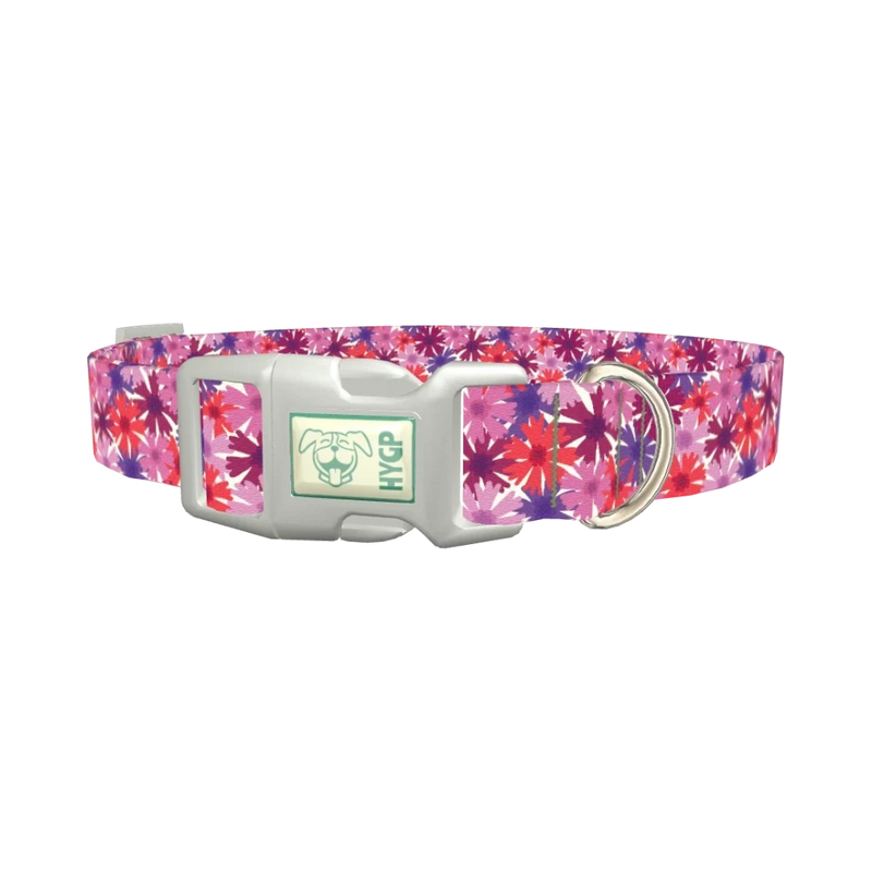 Colorful Cornflower Dog Collar - plastic silver