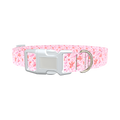 Floral Watercolor Dog Collar - plastic gold