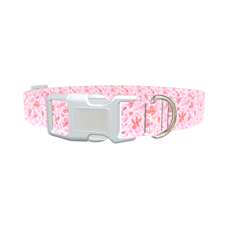 Floral Watercolor Dog Collar - plastic gold