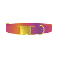 Gradient Pattern Dog Collar - metal gold