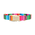 Wavy Rainbow Stripe Dog Collar - plastic rose gold