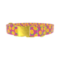 Pineapple Fruit Dog Collar - Thumbnail 1