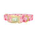 Christmas Gift Dog Collar - plastic gold