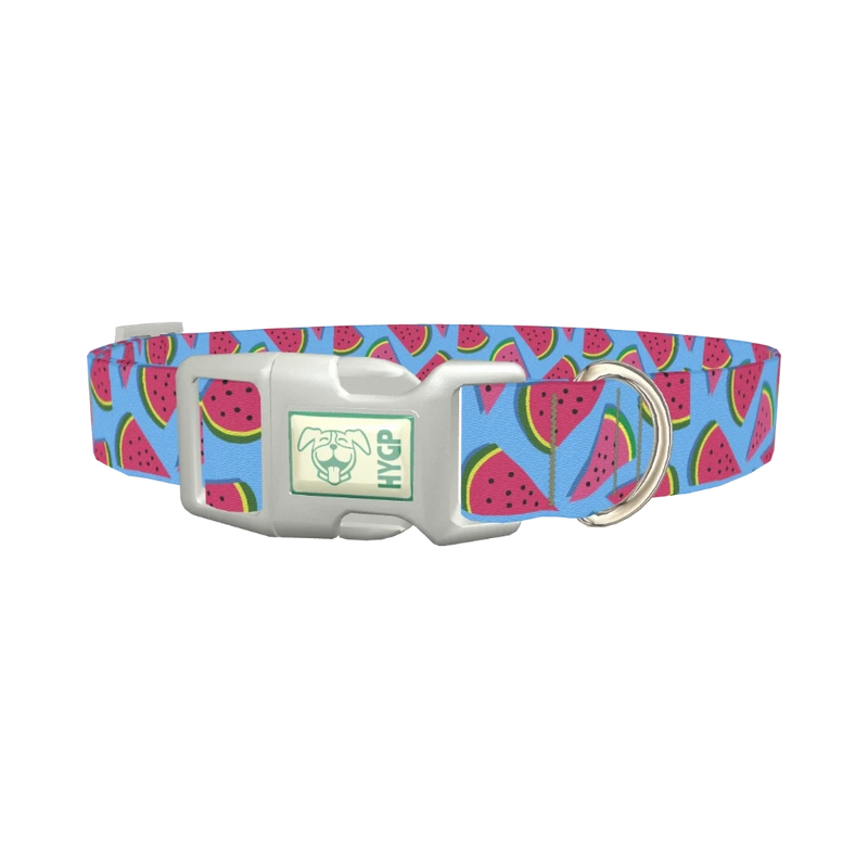 Geometric Watermelon Dog Collar - plastic silver