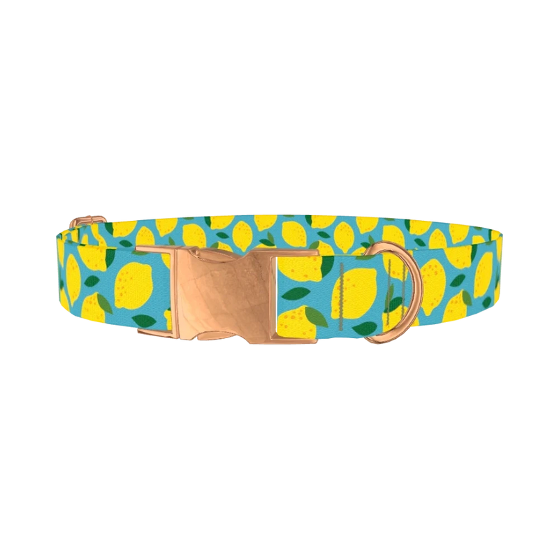 Blue Lemon Pattern Dog Collar - metal rose gold