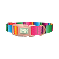Wavy Rainbow Stripe Dog Collar - plastic rose gold