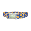 Dinosaur Print Dog Collar - plastic silver