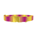 Colorful Snake Skin Dog Collar - metal gold
