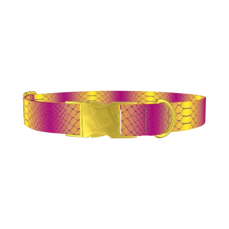 Colorful Snake Skin Dog Collar - metal gold