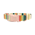 Striped Hexagon Dog Collar - plastic gold