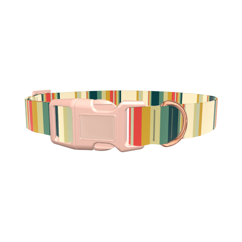 Striped Hexagon Dog Collar - plastic gold