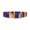 Colorful Stripes Dog Collar - metal rose gold