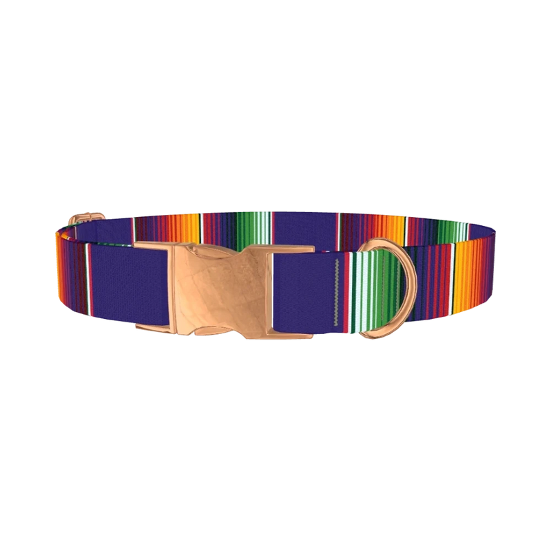 Colorful Stripes Dog Collar - metal rose gold