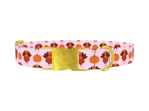 Thanksgiving_TurkeyPumpkin