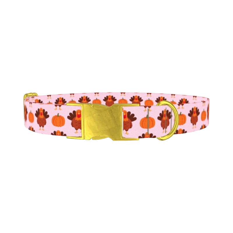 Turkey Pumpkin Pattern Dog Collar - metal gold