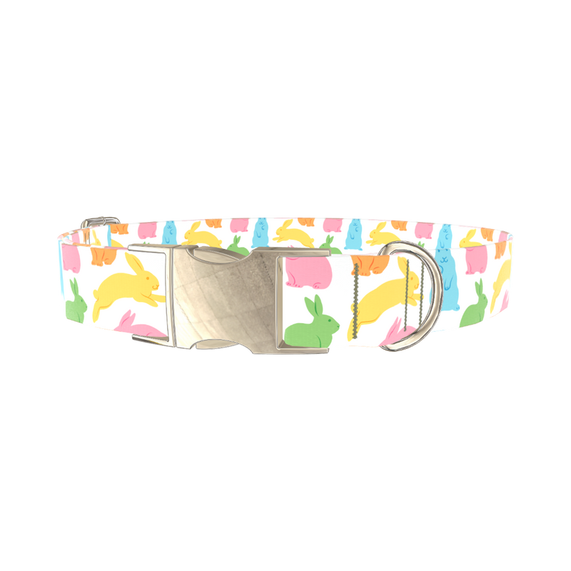 Colorful Easter Bunny Dog Collar - metal silver