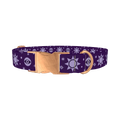 Mystical Sun Eye Dog Collar - metal rose gold