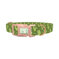 Cactus Desert Dog Collar - plastic rose gold