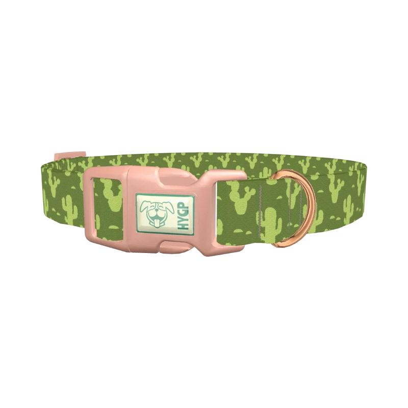 Cactus Desert Dog Collar - plastic rose gold