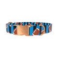 Blue Striped Football Dog Collar - metal rose gold