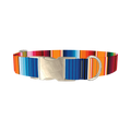 Mexican Textile Stripes Dog Collar - metal silver
