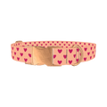 Heart Pattern Dog Collar - metal rose gold