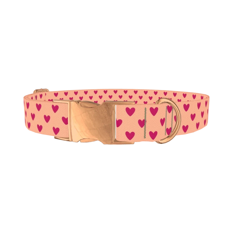 Heart Pattern Dog Collar - metal rose gold