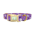 Halloween Moon Dog Collar - plastic gold