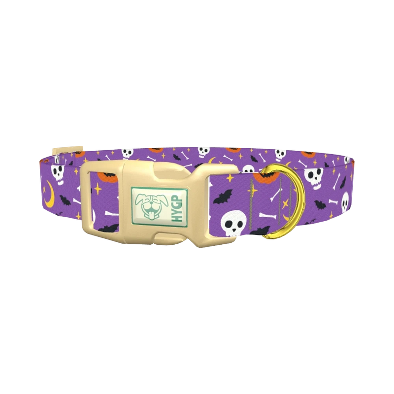 Halloween Moon Dog Collar - plastic gold