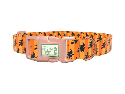 Halloween Witch Stripes Dog Collar