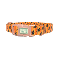 Halloween Witch Stripes Dog Collar - plastic gold