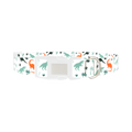 Dinosaur Jungle Dog Collar - plastic silver