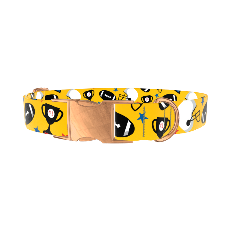 Yellow Football Trophy Dog Collar - metal rose gold