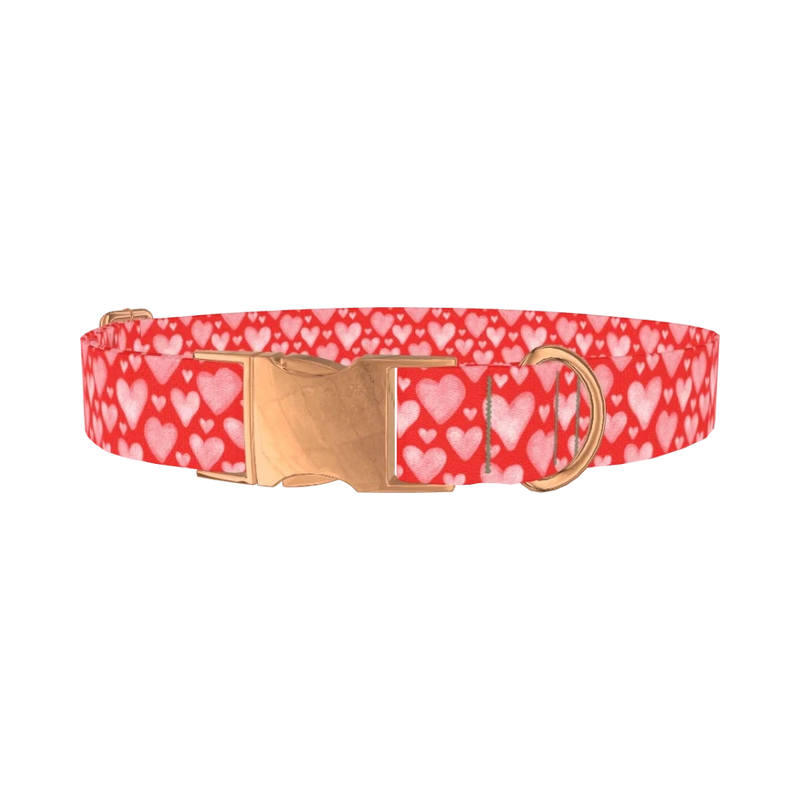 Watercolor Heart Dog Collar - metal rose gold