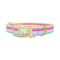 Pastel Striped Dog Collar - plastic gold