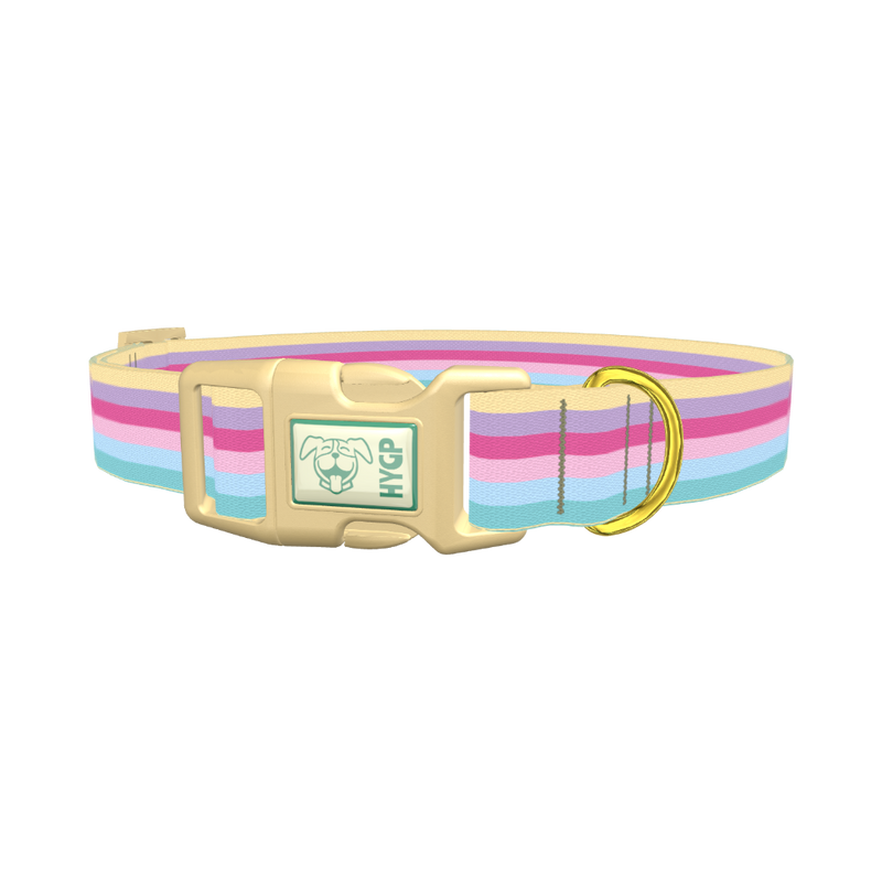 Pastel Striped Dog Collar - plastic gold