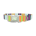 Pastel Stripe Dog Collar - plastic silver
