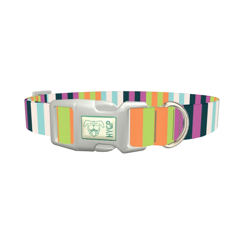 Pastel Stripe Dog Collar - plastic silver